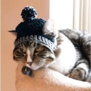 Cozy Black and Gray Cat Hat